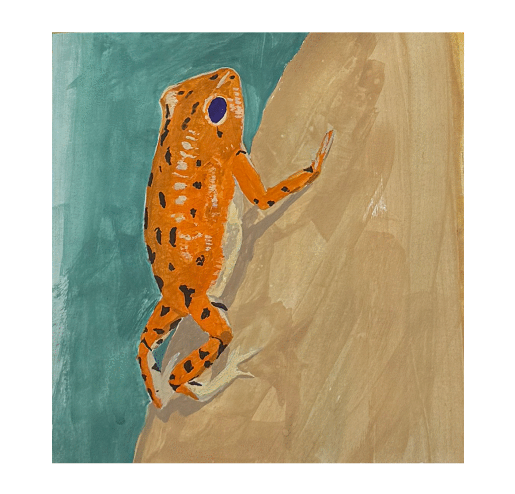 Orange poison dart frog climbing a tree, sketch study with focus on gesture and vivid color